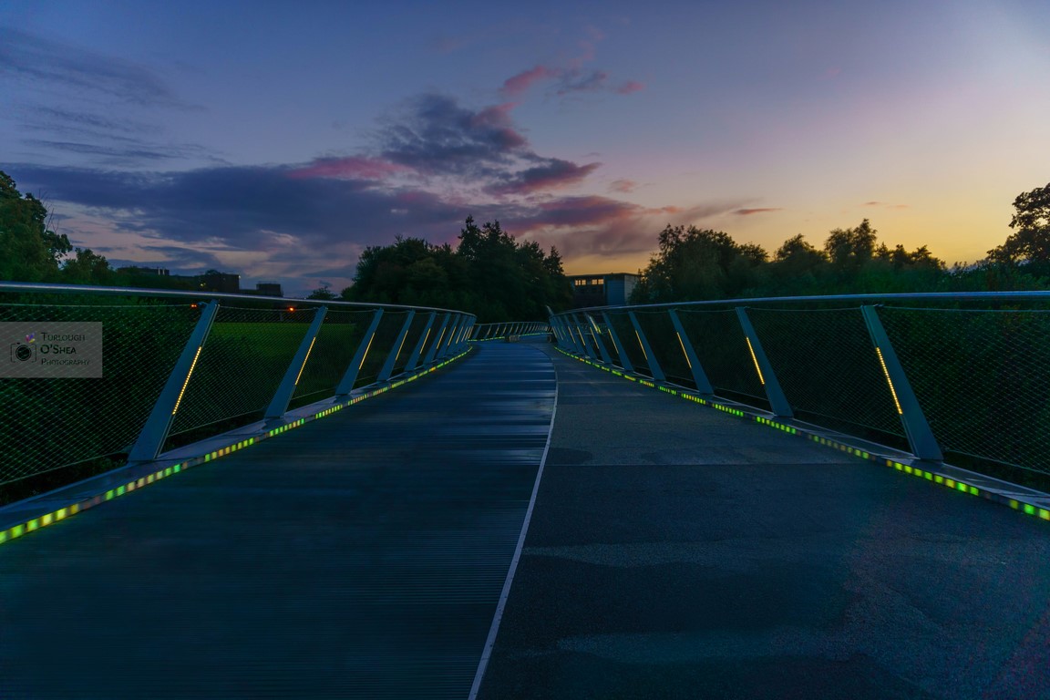 Living Bridge